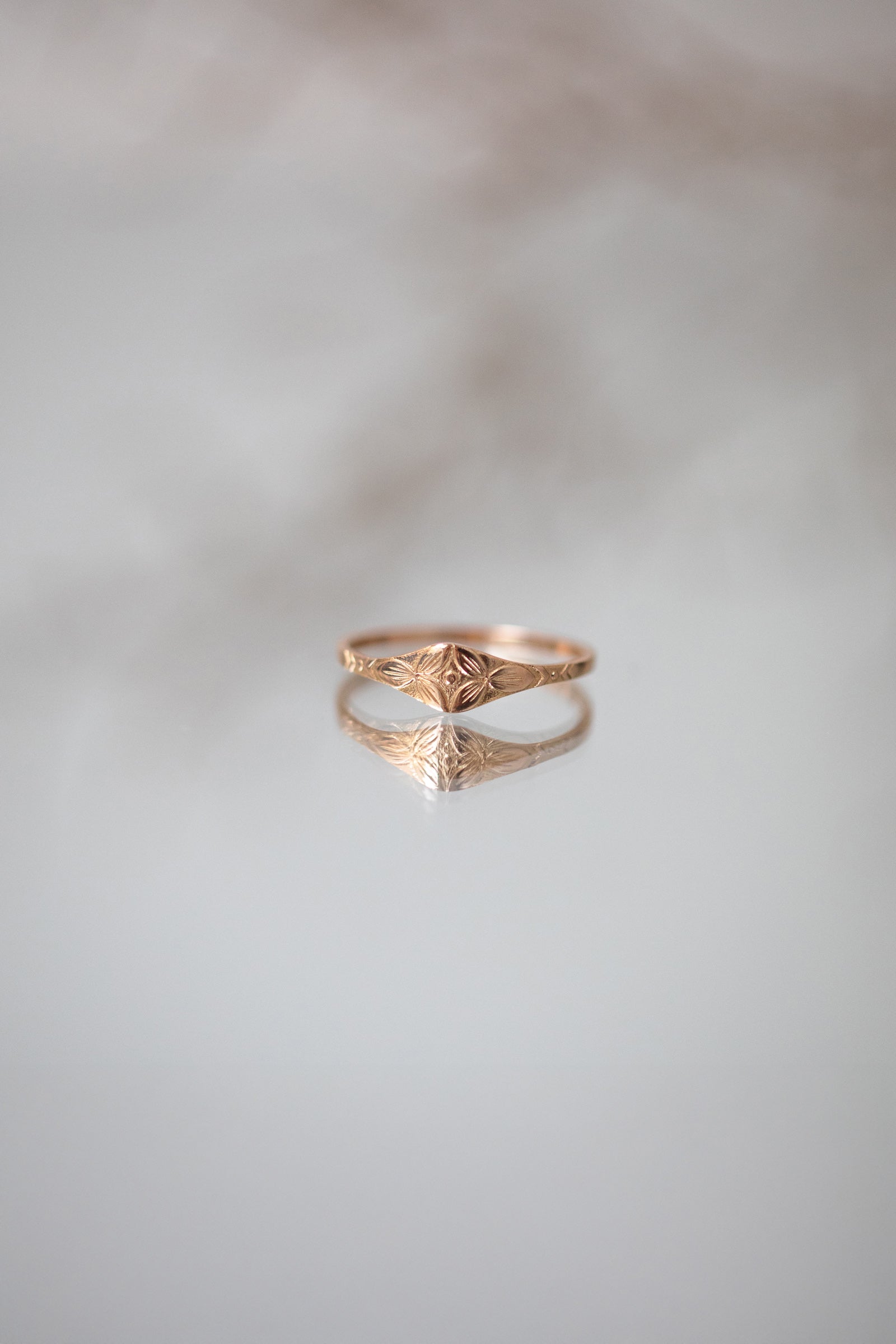 Hydrangea Chevalière Adult