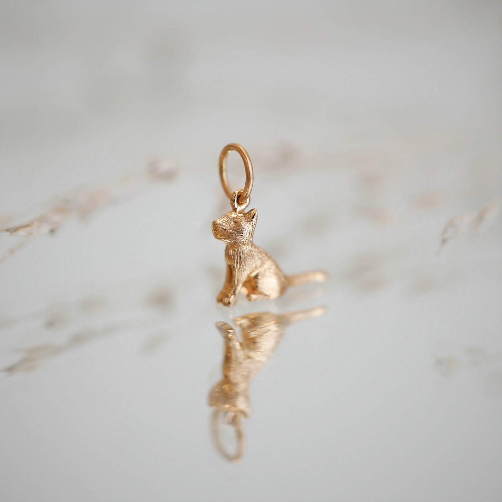 Kitten charm