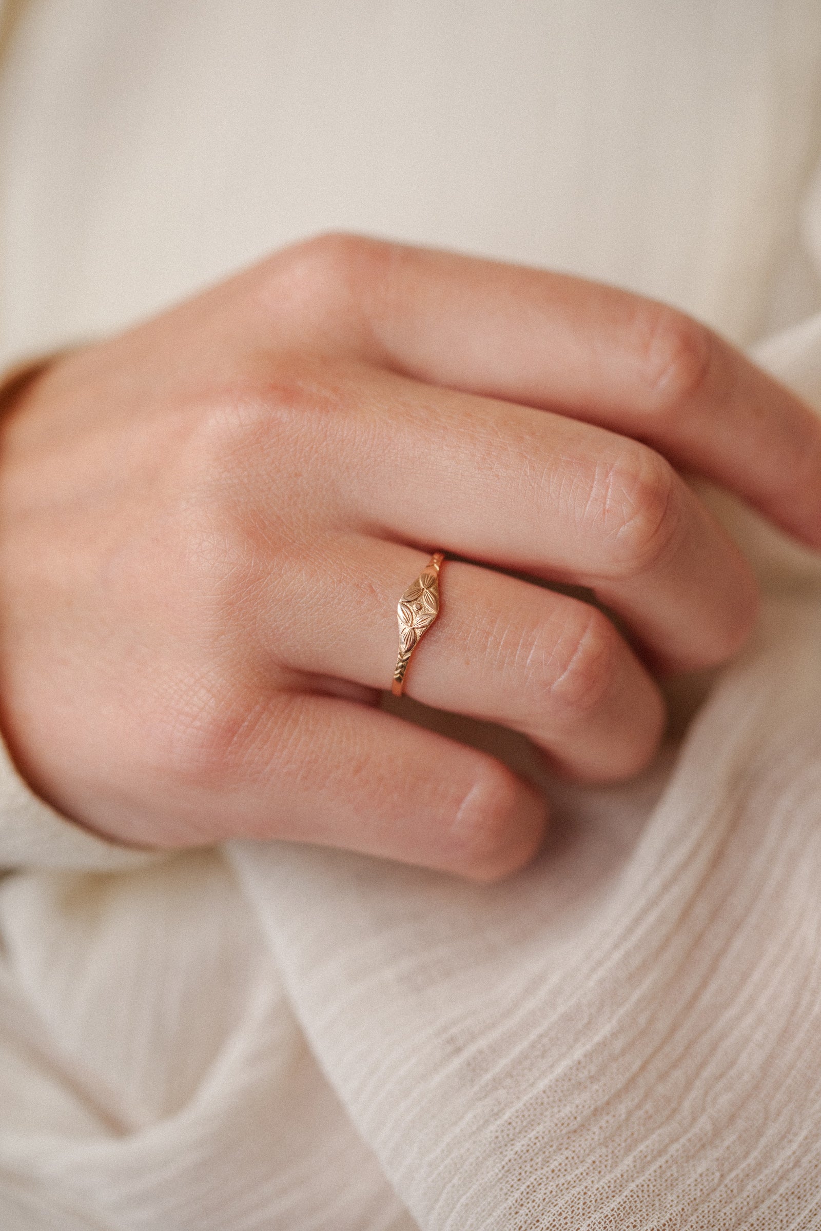 Chevalière Hortensia Adulte