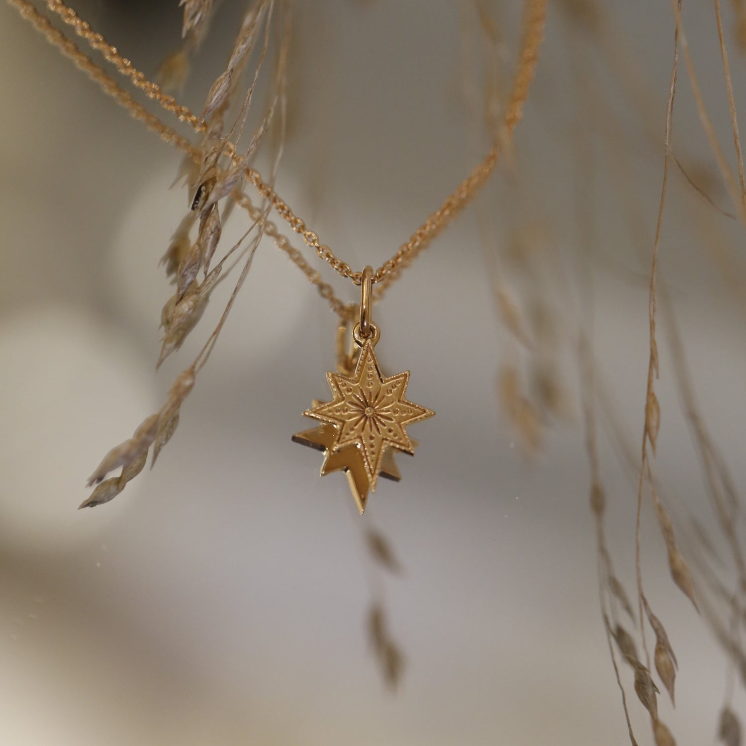 Médaille Étoile Polaris