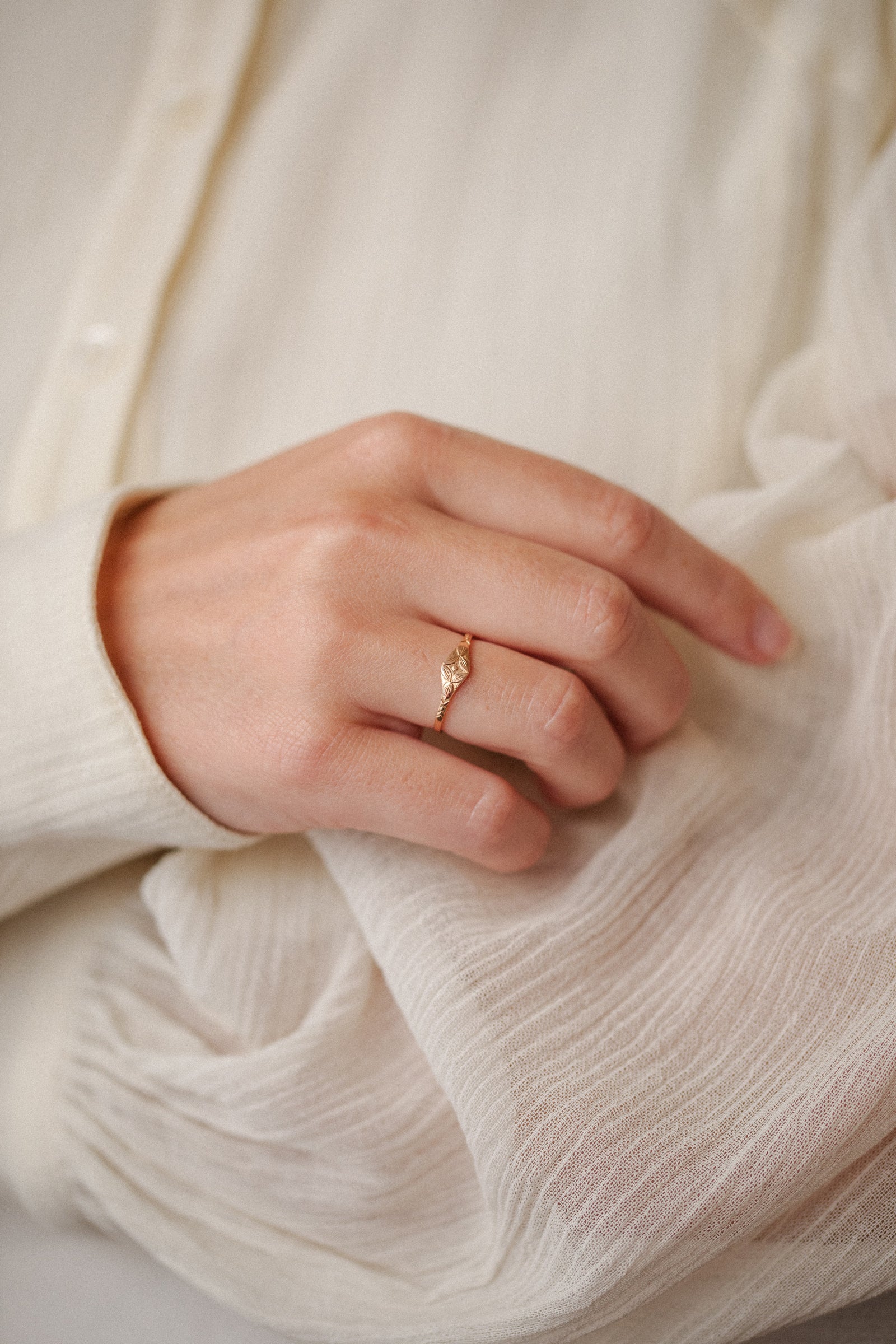 Hydrangea Chevalière Adult