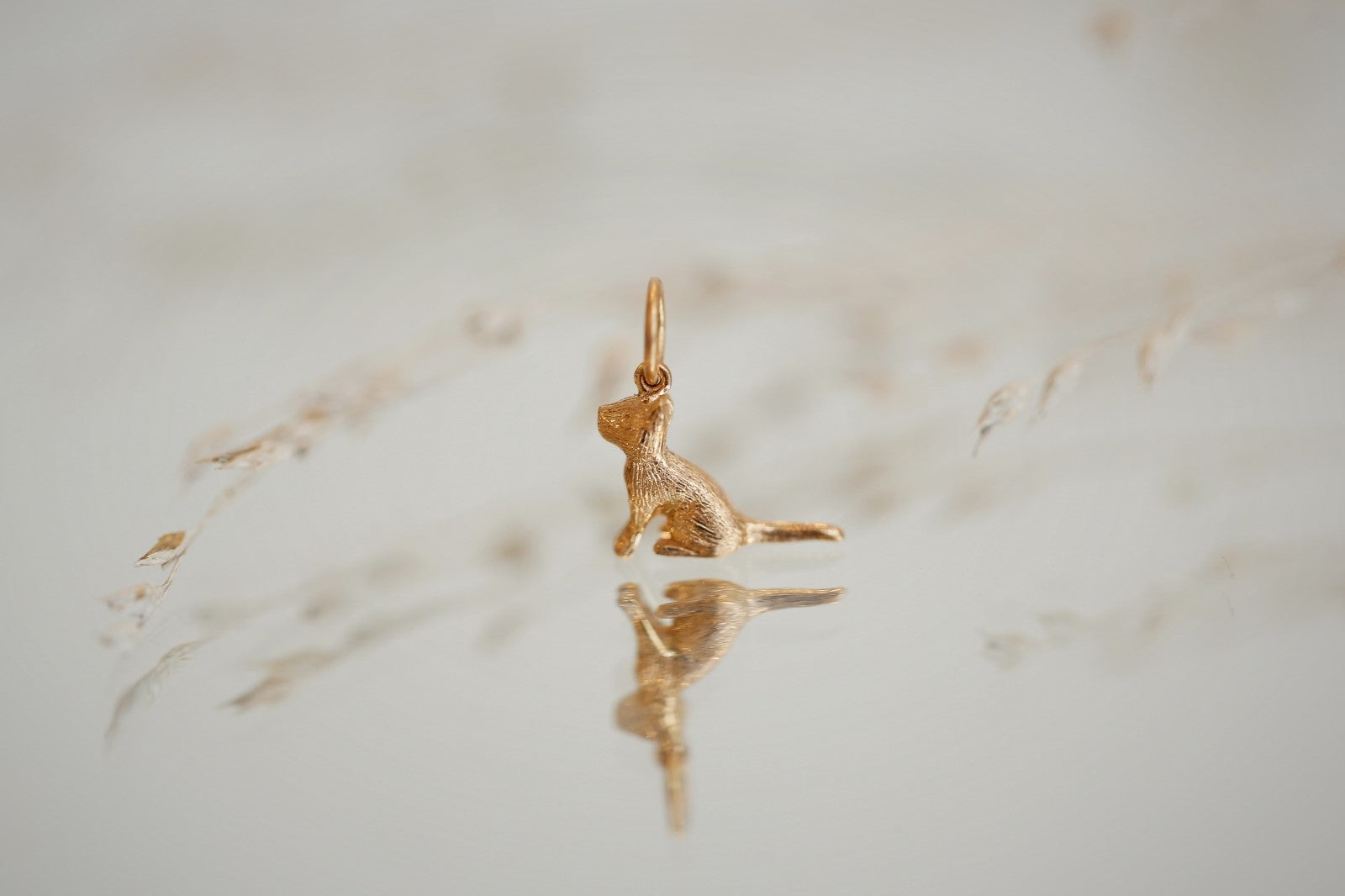 Kitten charm