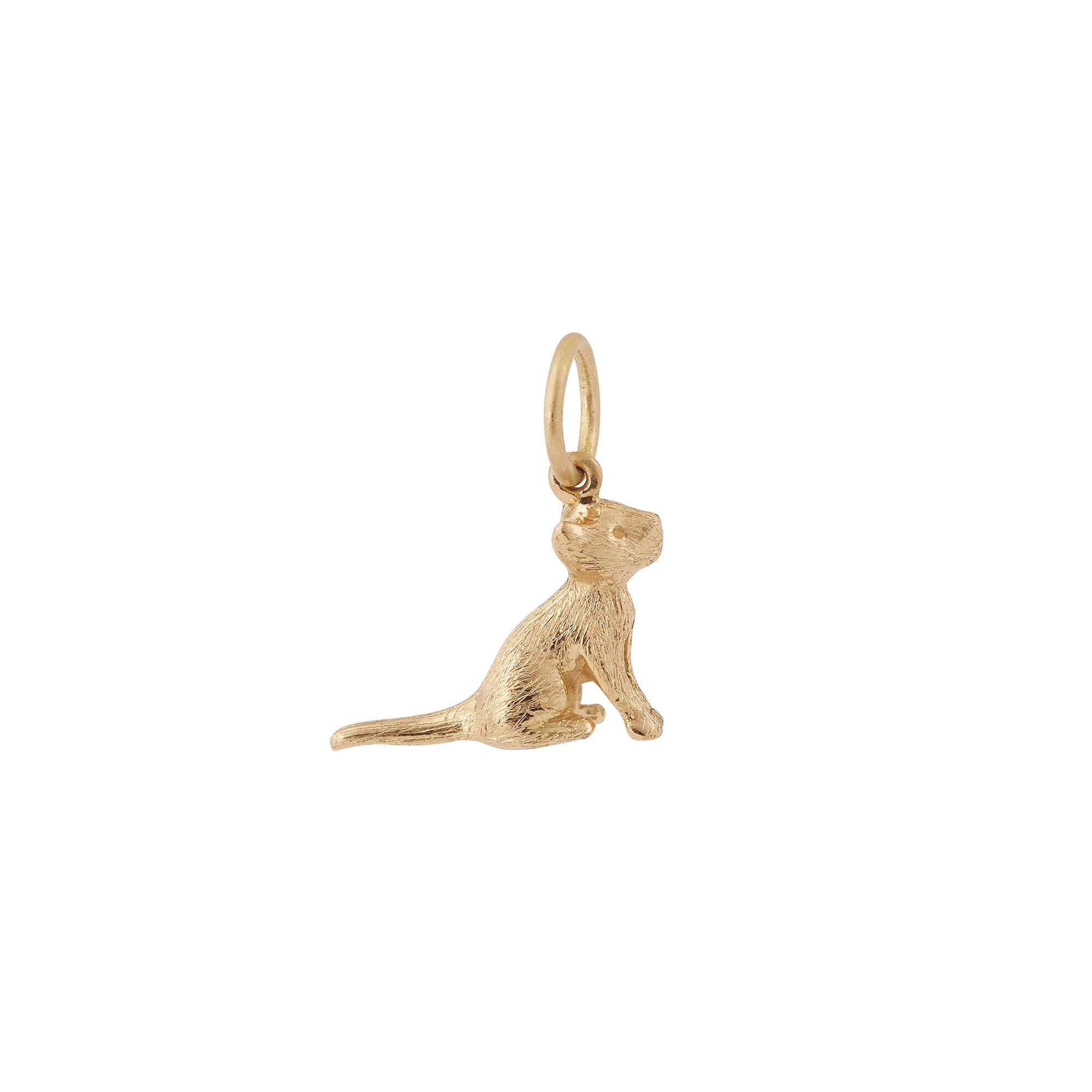 Kitten charm