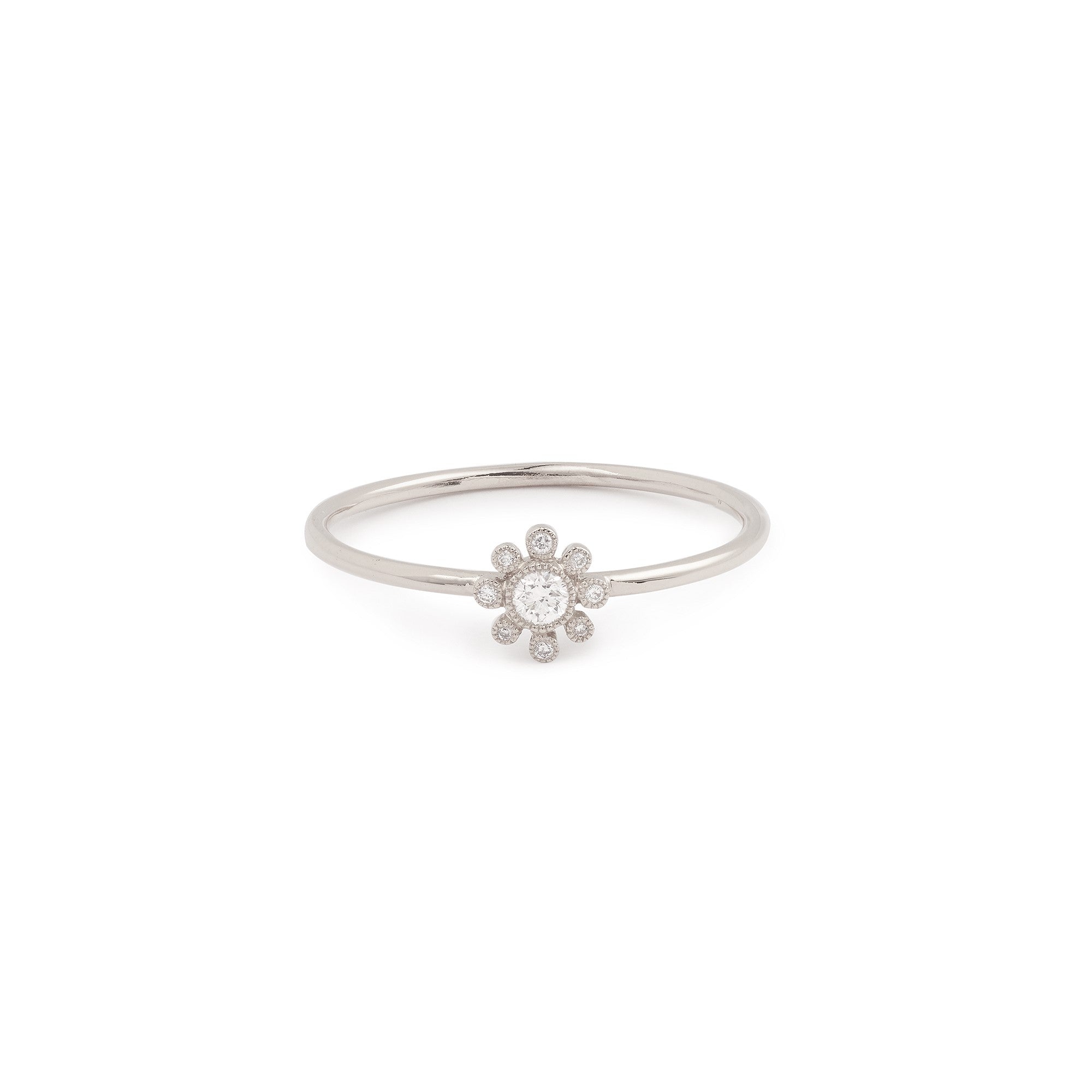 Baby Cosmos Ring in grey gold  Archives